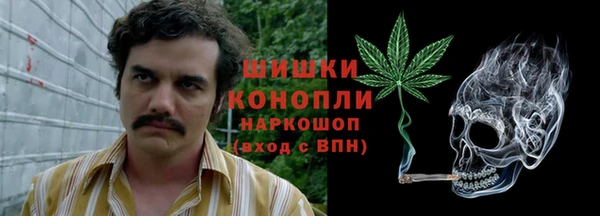 гашик Алзамай