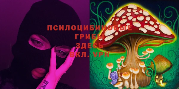 сатива Алексин