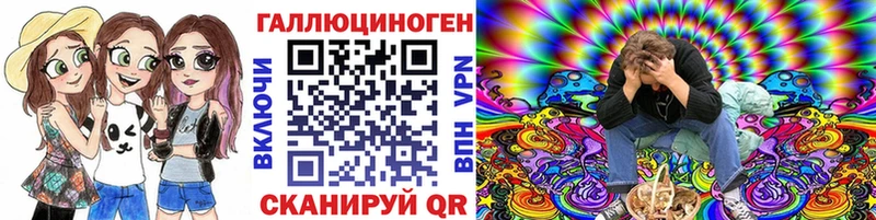 Галлюциногенные грибы Psilocybe  Ртищево 